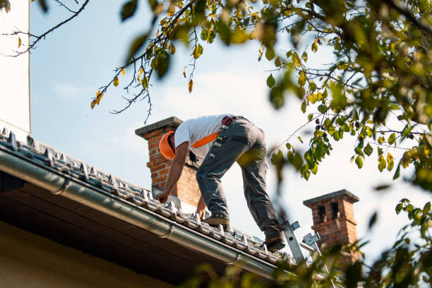 Best Storm Damage Roof Repair  in Laramie, WY