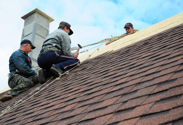 Best Gutter Installation and Roofing  in Laramie, WY